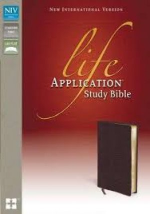NIV-LASB STUDY BIBLE LP