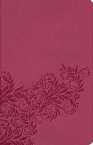 Nelson Reference Bible, KJV Edition