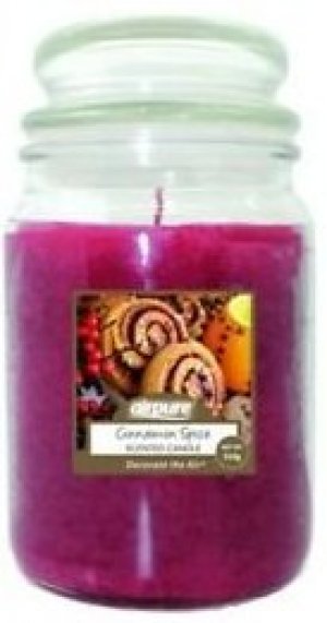 CINNAMON SPICE SCENTED CANDLE