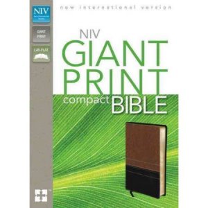NIV Compact Bible, Giant Print
