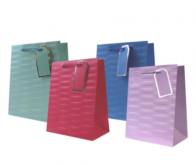 GIFTBAG-EMBOSSED BRIGHT-MEDIUM