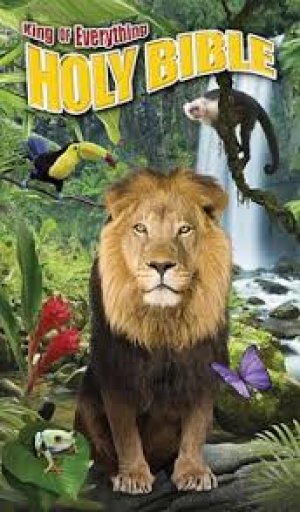 KING OF EVERYTHING BIBLE
