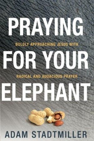 PRAYING FOR YOUR ELEPHANT P/C