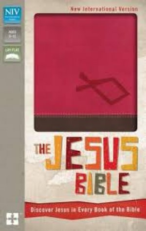 NIV-THE JESUS BIBLE - (PINK)