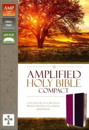 Amplified Compact Holy Bible