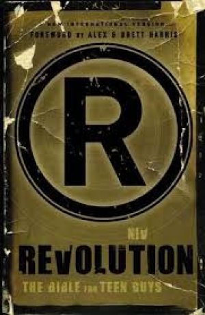 NIV Revolution: The Bible for Teen Guys