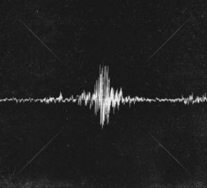 CD-WE WILL NOT BE SHAKEN