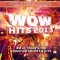 Wow Hits 2013(CD)