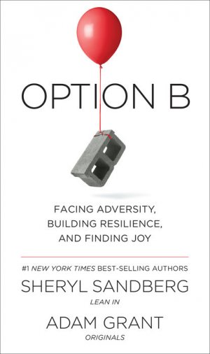 Option B: Facing Adversity, Building Resilience and Finding Joy