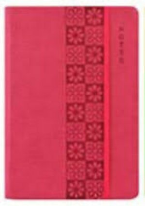 A4 SOFT NOTE PASTEL-4 ASST. (RED)