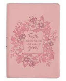 FAITH PLANTS THE SEED