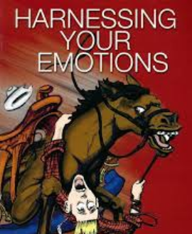 HARNESSING YOUR EMOTION