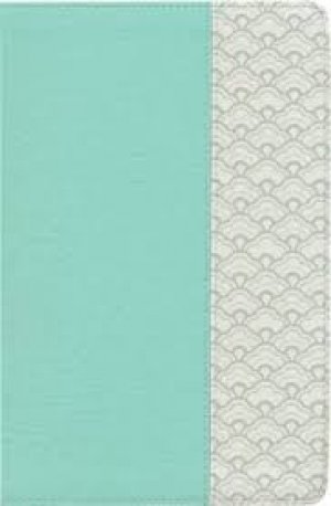 KJV Large Print Personal Size Reference Bible, Mint Green LeatherTouch
