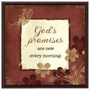 FRAME-GOD'S PROMISES ARE NEW (7.5" X 7.5")
