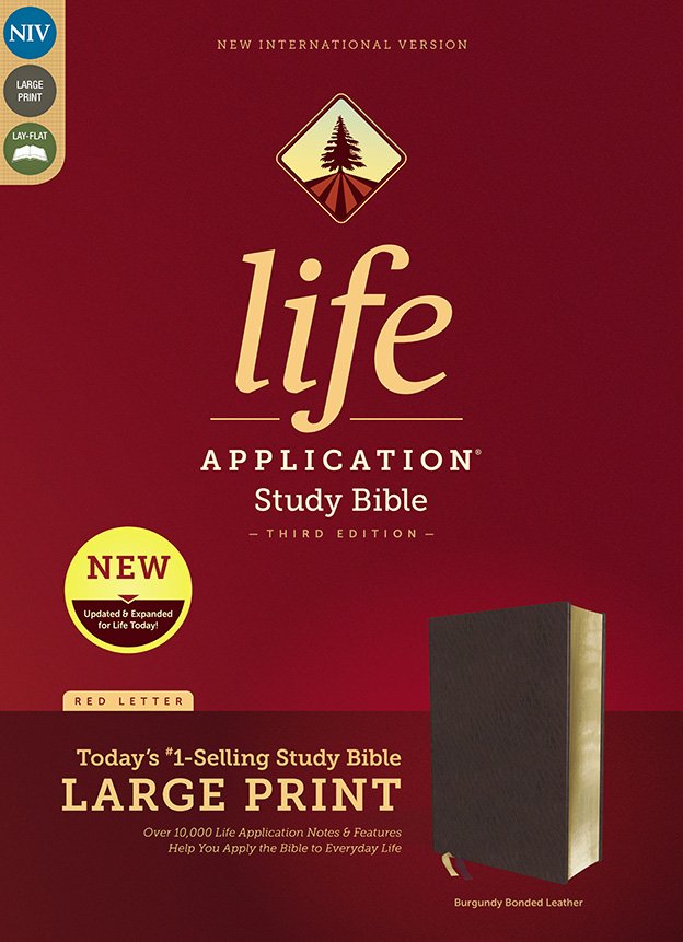 NIV Life Application Study Bible