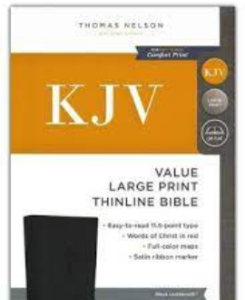 THINLINE BIBLE LARGE PRINT