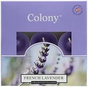 FRENCH LAVENDER 9 FRAGRANCE CANDLE