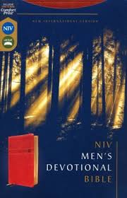 NIV-MEN'S DEVOTIONAL BIBLE-BRW