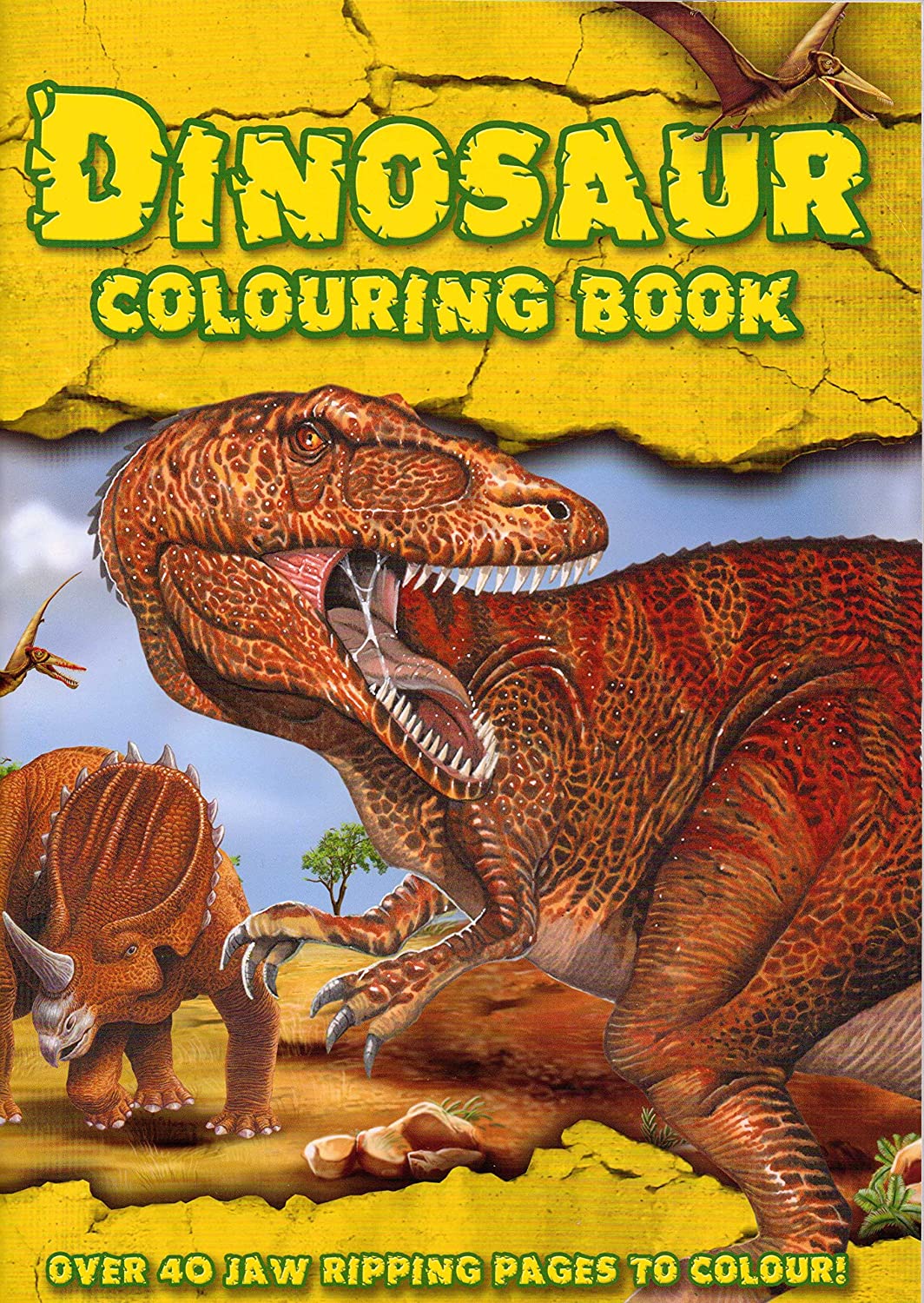 DINOSAUR COLORING BOOK