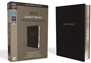 NIV: GIANT PRINT REFERENCE BIBLE