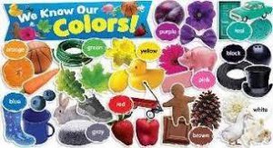 MINI BULLETIN BOARD SET: WE KNOW OUR COLORS!