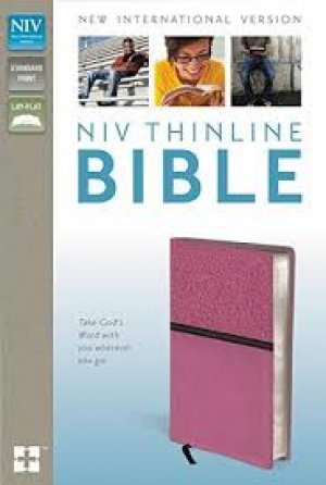 NIV Thinline Bible- PINK/BROWN