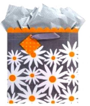 DAISY WEDDING GIFT BAG