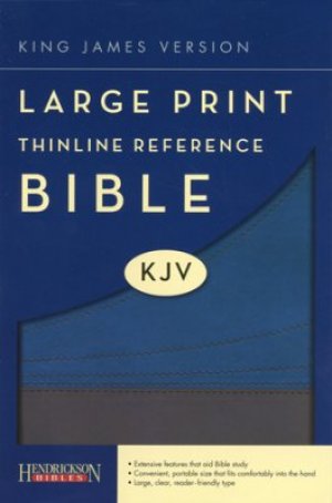 The Holy Bible: King James Version, Slate/ Blue Flexisoft, Thinline Reference Bible