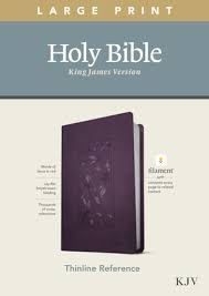 KJV-THINELINE REF BIBLE LARGE PRINT , FLORAL