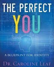 The Perfect You : A Blueprint for Identity