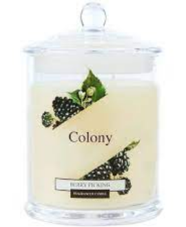 COLONY-BERRY PICKING