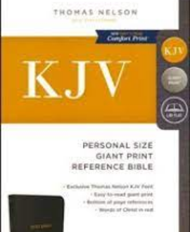 KJV PERSONAL SIZE GIANT PRINT REFERENCE BIBLE.