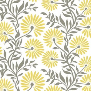 DANDY FLORAL