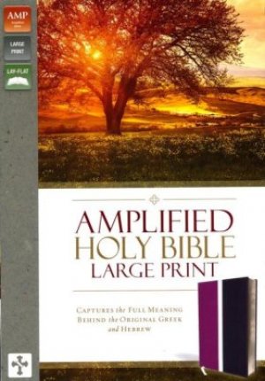AMPLIFIED HOLY BIB-LARGE PRINT