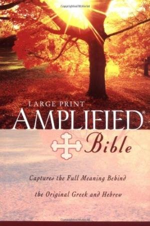 Amplified Bible LP