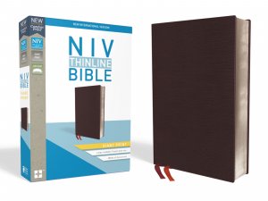 NIV: THINLINE BIBLE