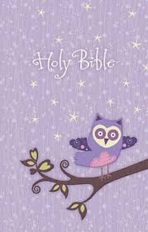 Owl NKJV Bible-GLITTERY CLOTH COVER
