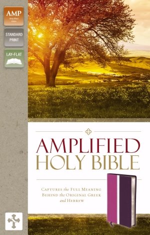 AMPLIFIED HOLY BIBLE-DUO-TONE