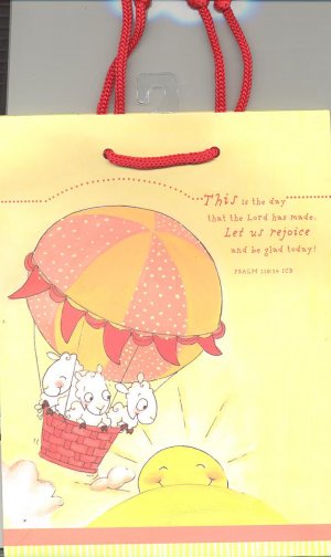 BAG-THIS IS THE DAY....(MEDIUM)