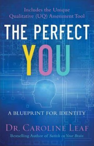 THE PERFECT YOU
