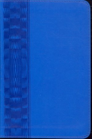 Boy Backpack Bible Blue 2014 (Wal-mart Exclusive)