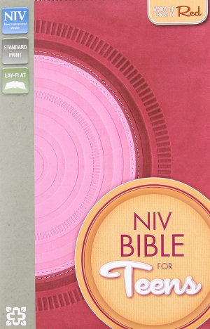NIV, Bible for Teens