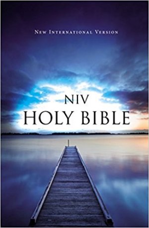 NIV Holy Bible- Outreach