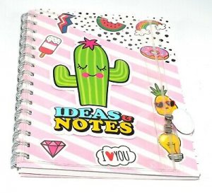 IDEAS & NOTES