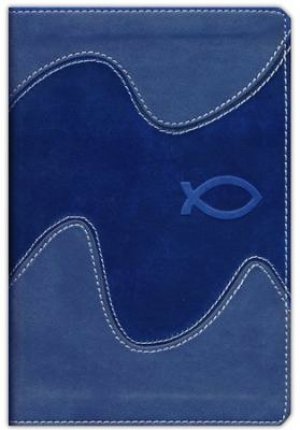 NIrV Backpack Bible