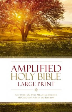 AMPLIFIED HOLY BIBLE - LARGE PRINT