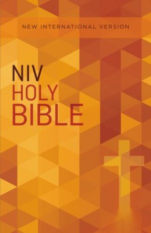 NIV Holy Bible Outreach