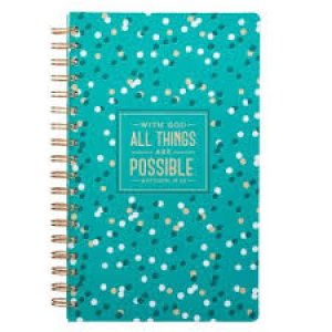 JOURNAL 266-ALL THINGS/POSSIBLE