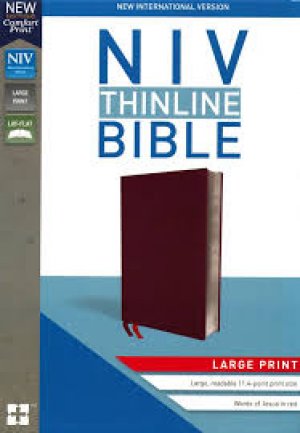 NIV - THINLINE LARGE PRINT BIBLE BURGUNDRY