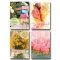 BIRTHDAY SWEET CELEBRATIONS (12 SET OF CARDS)